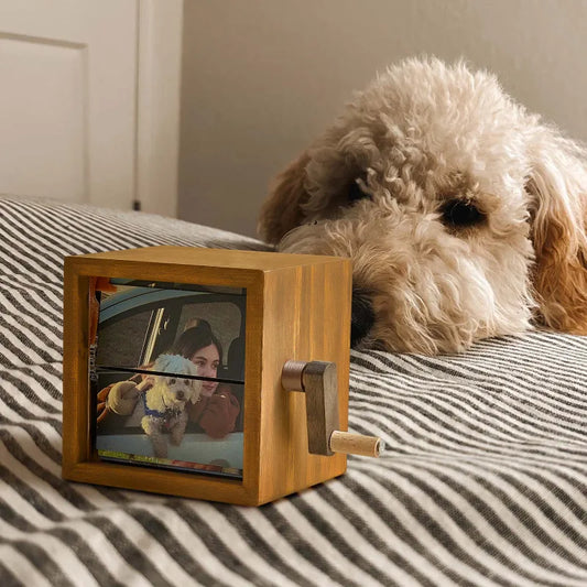 Memorável Pet | Amor Em Quatro Patas